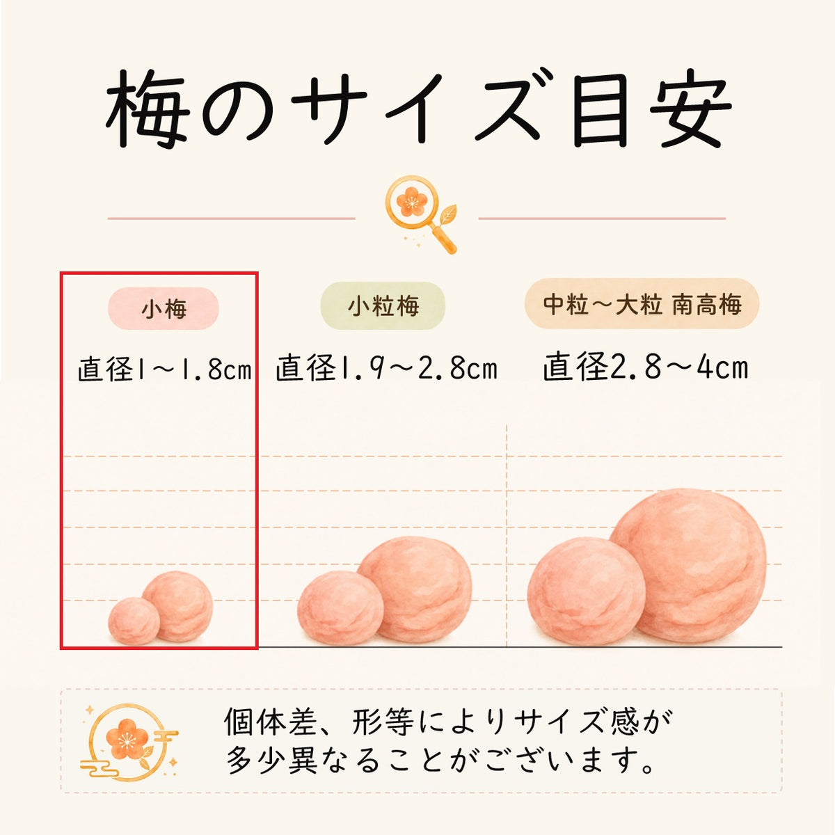 はちみつ梅 小梅 無添加 梅干し 送料無料 低塩 塩分6% 国産 はちみつ 紀州南高梅 低塩分 蜂蜜梅