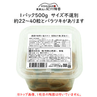 【無農薬 無添加 梅干し】紀州梅香の昔ながらの白干しつぶれ梅 500g（中粒～大粒）