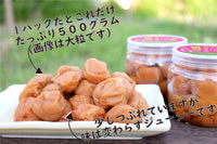 【無添加 梅干し】紀州梅香のはちみつ梅 500g (低塩6%)(中粒～大粒)