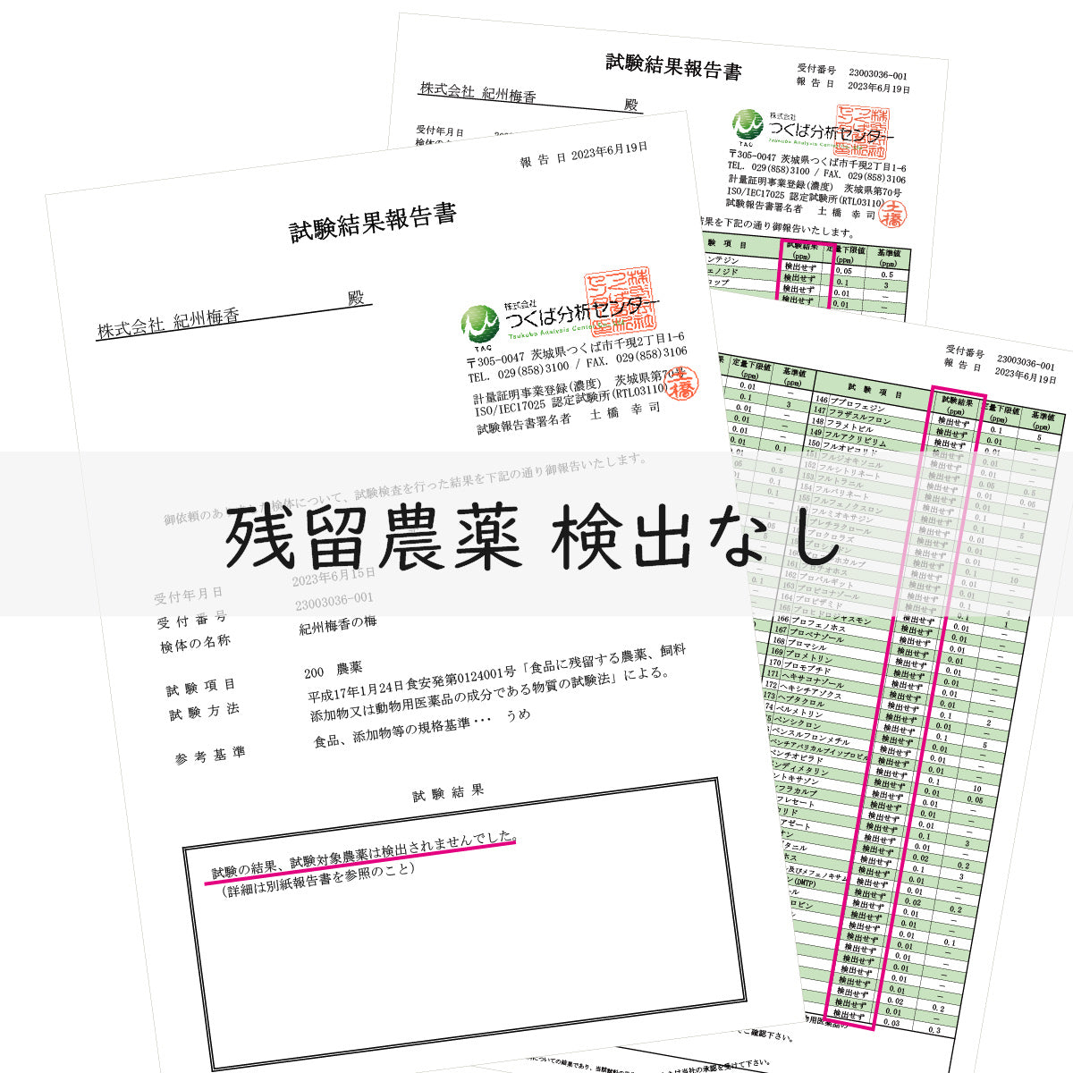 【無添加 梅干し】紀州梅香の白干し梅 500g (塩梅 昔ながらの酸っぱい梅)＜中～大粒＞
