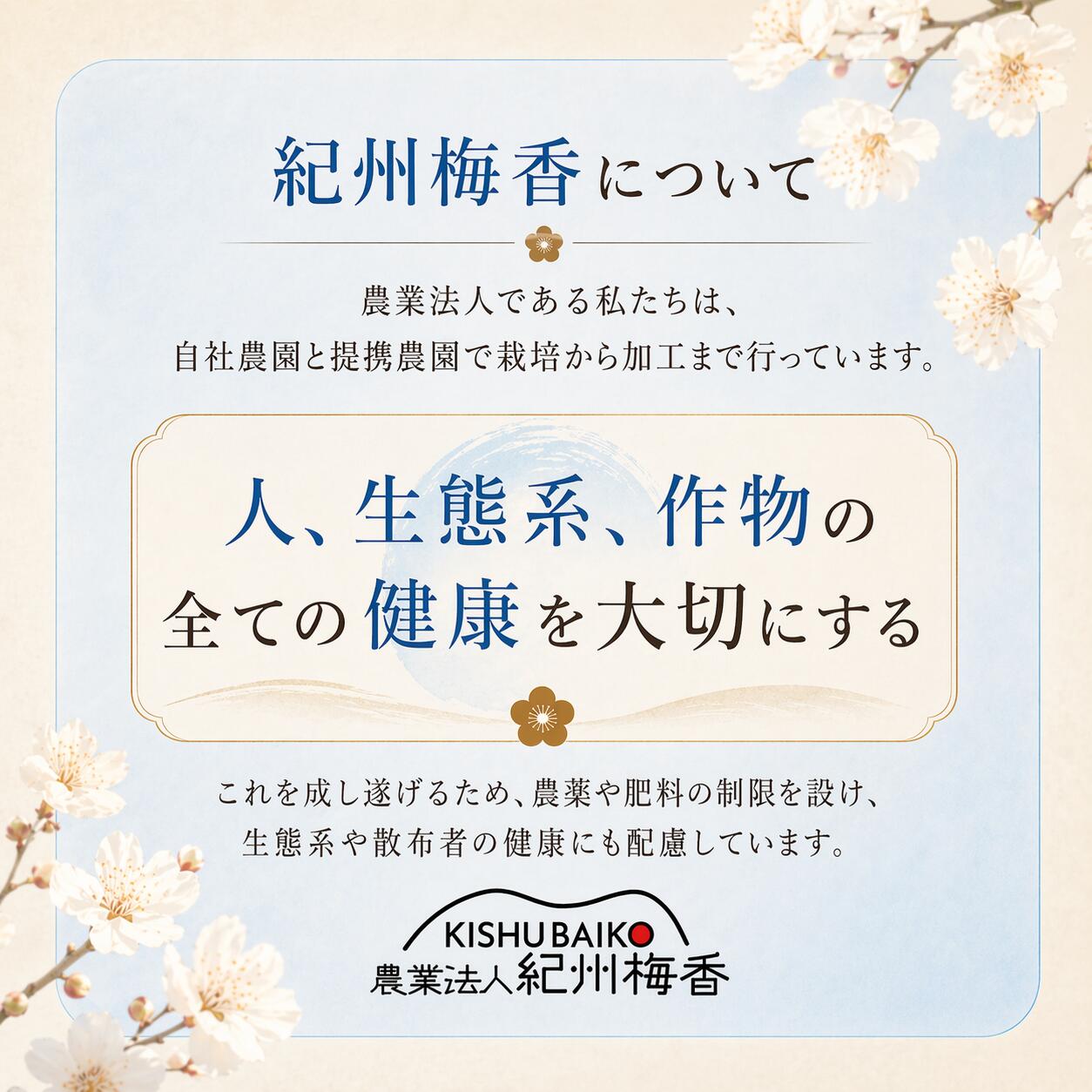 無添加 3年熟成ガリ梅(少し堅い梅) 塩だけ樽熟成：昔ながらの塩っぱい白干し梅（ガリ白梅干し）