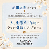 無添加 3年熟成ガリ梅(少し堅い梅) 塩だけ樽熟成：昔ながらの塩っぱい白干し梅（ガリ白梅干し）