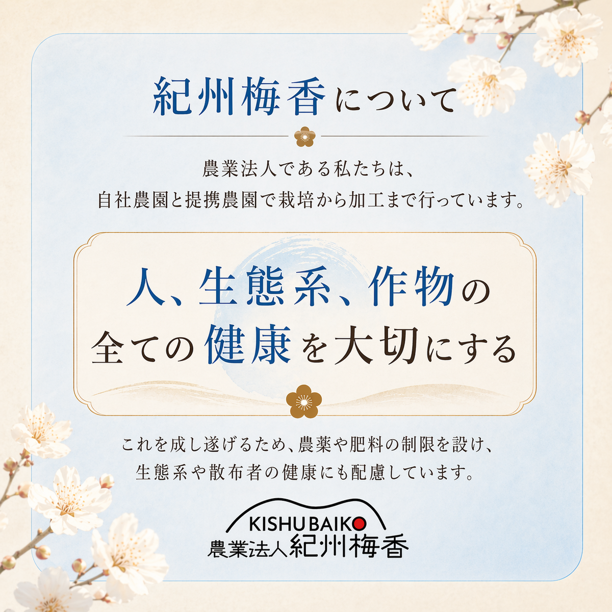 無添加 梅干し 訳あり 紀州南高梅 雹害ひょう害エール はちみつ梅 塩分6％  傷あり 産地応援 和歌山県産 家庭用 国産