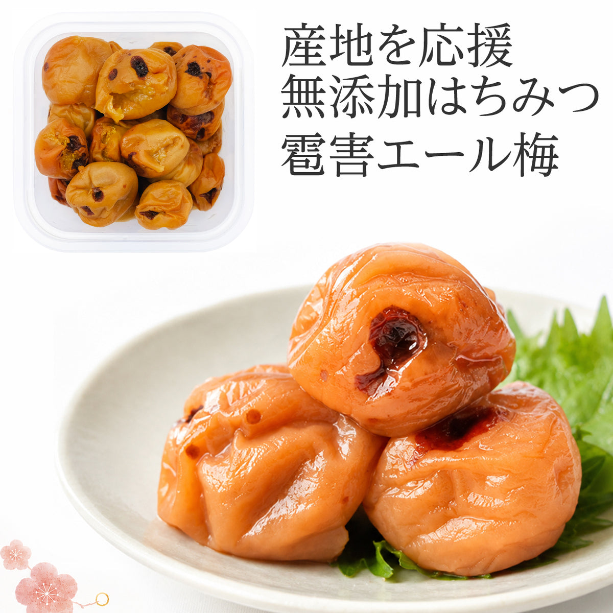 無添加 梅干し 訳あり 紀州南高梅 雹害ひょう害エール はちみつ梅 塩分6％  傷あり 産地応援 和歌山県産 家庭用 国産