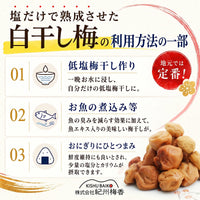無添加 3年熟成ガリ梅(少し堅い梅) 塩だけ樽熟成：昔ながらの塩っぱい白干し梅（ガリ白梅干し）