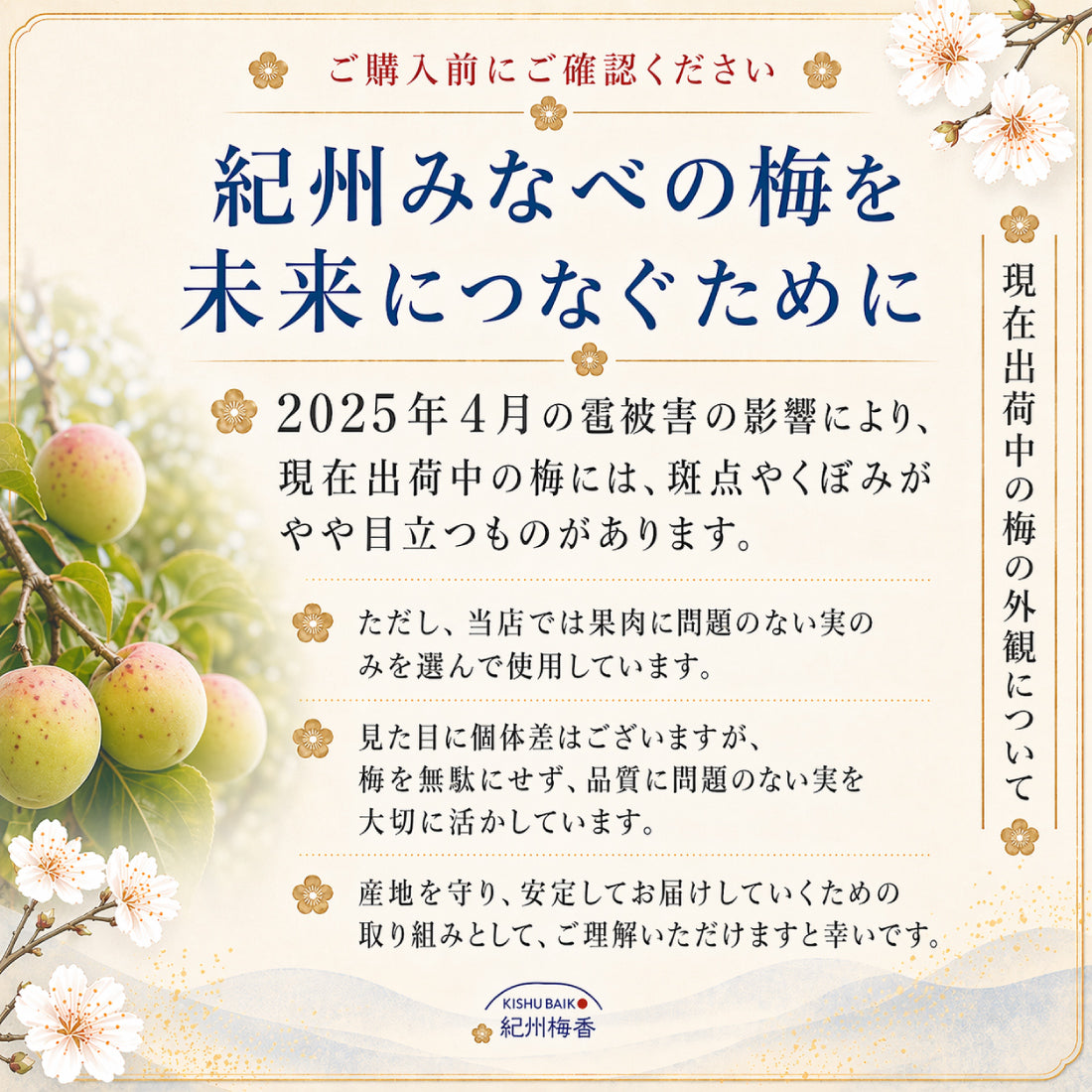 無添加 梅干し 訳あり 紀州南高梅 雹害ひょう害エール はちみつ梅 塩分6％  傷あり 産地応援 和歌山県産 家庭用 国産