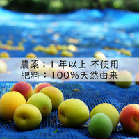 ー【無農薬 無添加 減塩 梅干し】紀州梅香 訳アリつぶれ梅 500g （中粒～大粒）