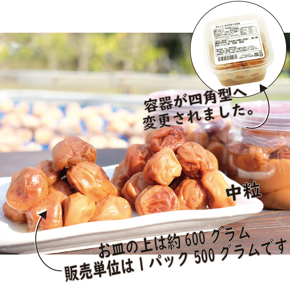 ー【無農薬 無添加 減塩 梅干し】紀州梅香 訳アリつぶれ梅 500g （中粒～大粒）