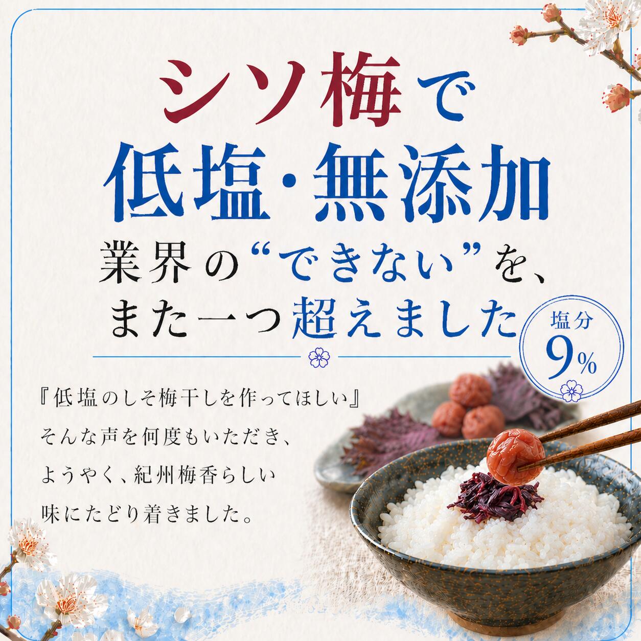 無添加 梅干し しそ梅干し 小梅 減塩 紀州梅香 460g 塩分約9％ 紀州南高梅 赤しそ