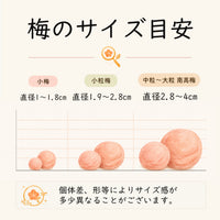 無添加 梅干し しそ梅干し 小梅 減塩 紀州梅香 460g 塩分約9％ 紀州南高梅 赤しそ