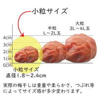 【無添加 梅干し】紀州梅香の昔ながらの小さな白干し梅 500g