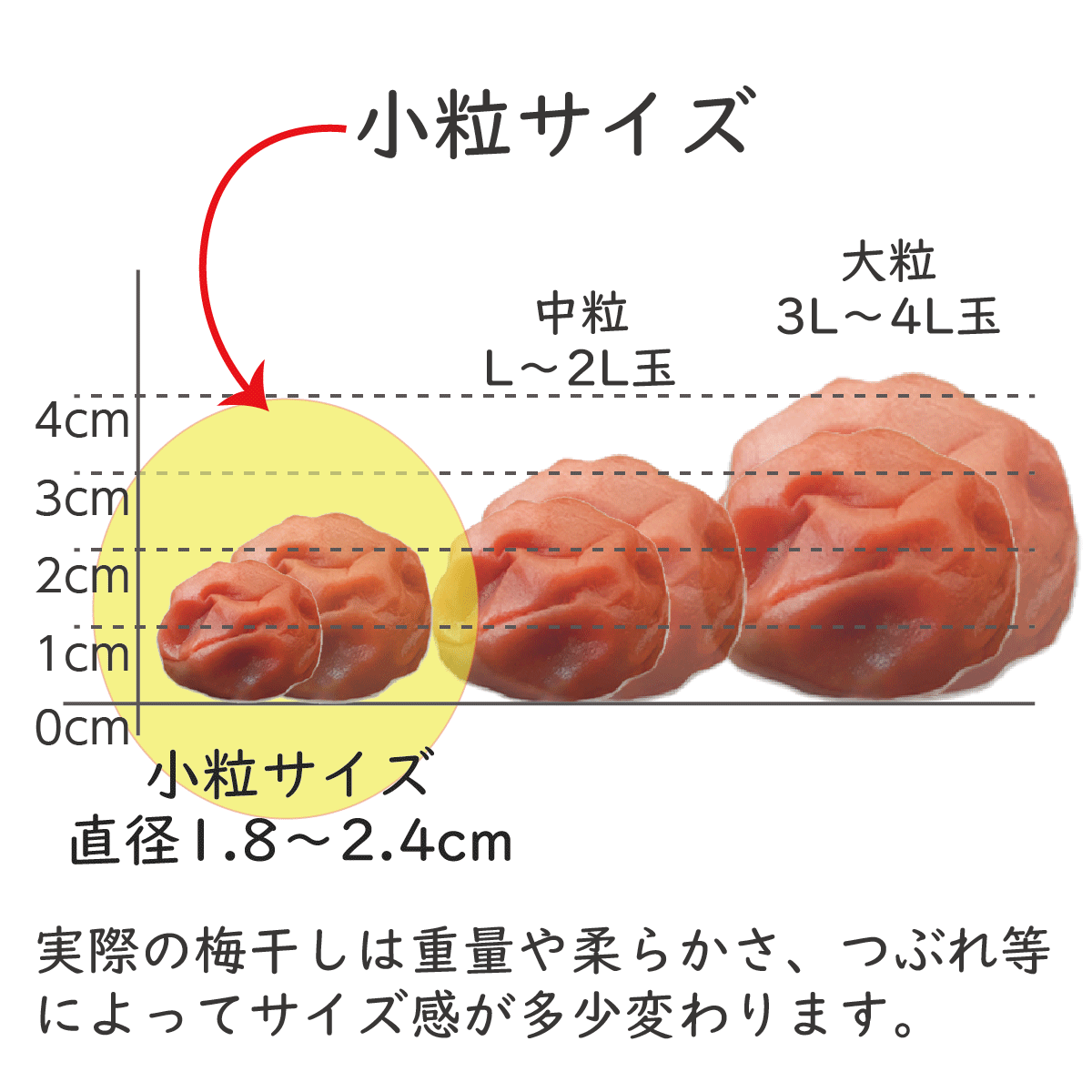 【無添加 梅干し】紀州梅香の昔ながらの小さな白干し梅 500g
