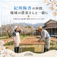 無添加 梅干し しそ梅干し 小梅 減塩 紀州梅香 460g 塩分約9％ 紀州南高梅 赤しそ