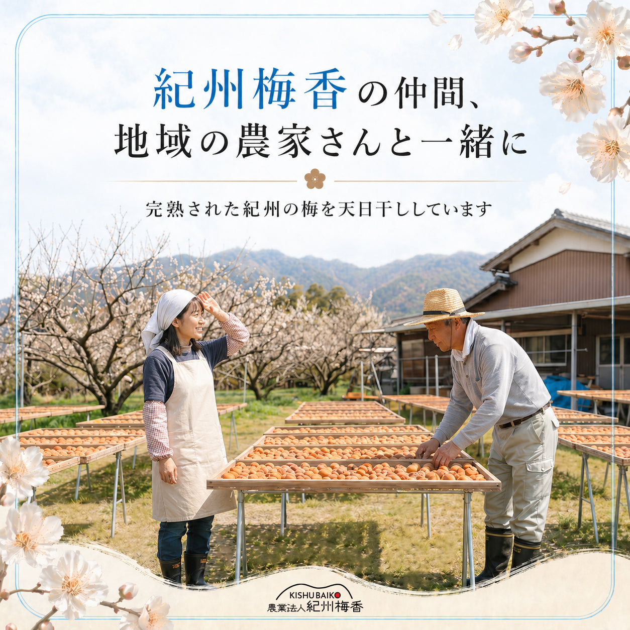 無添加 梅干し しそ梅干し 小梅 減塩 紀州梅香 460g 塩分約9％ 紀州南高梅 赤しそ