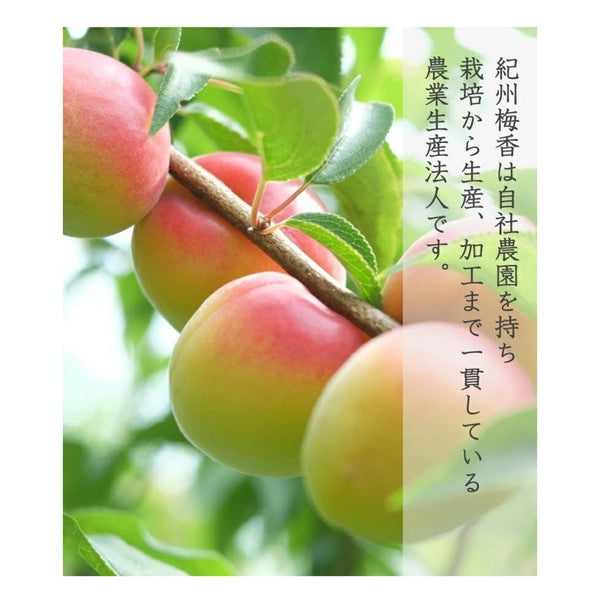 3年熟成 特上熟成梅＜昔ながらの酸っぱい白梅干し梅＞（中粒～大粒）430g
