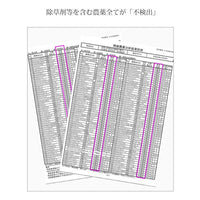 【無農薬 無添加 梅干し】紀州梅香の昔ながらの白干し梅 特上熟成梅 430g
