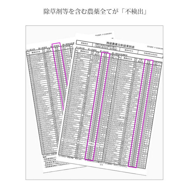 【無農薬 無添加 梅干し】紀州梅香の昔ながらの白干し梅 特上熟成梅 430g