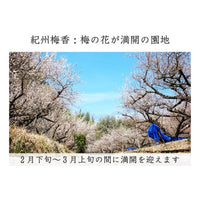 【無農薬 無添加 梅干し】紀州梅香の昔ながらの白干し梅 特上熟成梅 430g