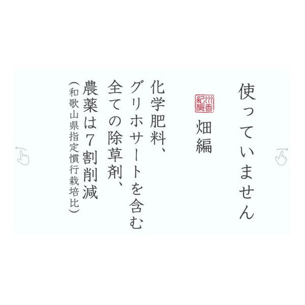 【無農薬 梅干し】紀州梅香の上質減塩梅 500g（中粒～大粒）