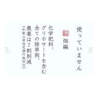 【無農薬 梅干し】紀州梅香の上質減塩梅 500g（中粒～大粒）