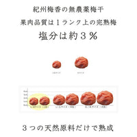 【無農薬 梅干し】紀州梅香の上質減塩梅 500g（中粒～大粒）