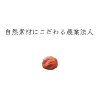 【訳あり 無添加 梅干 】紀州梅香の梅干し 500g (提携農園梅使用) ＜減塩 つぶれ梅＞（中粒～大粒） - T3-G