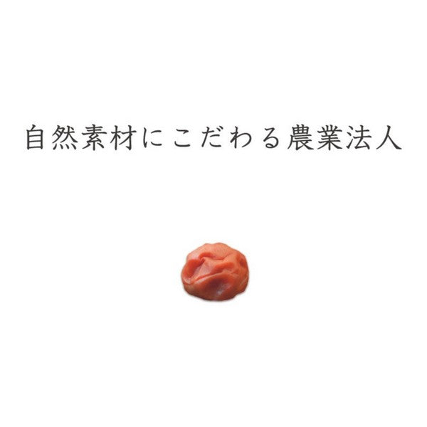 【訳あり 無添加 梅干 】紀州梅香の梅干し 500g (提携農園梅使用) ＜減塩 つぶれ梅＞（中粒～大粒） - T3-G